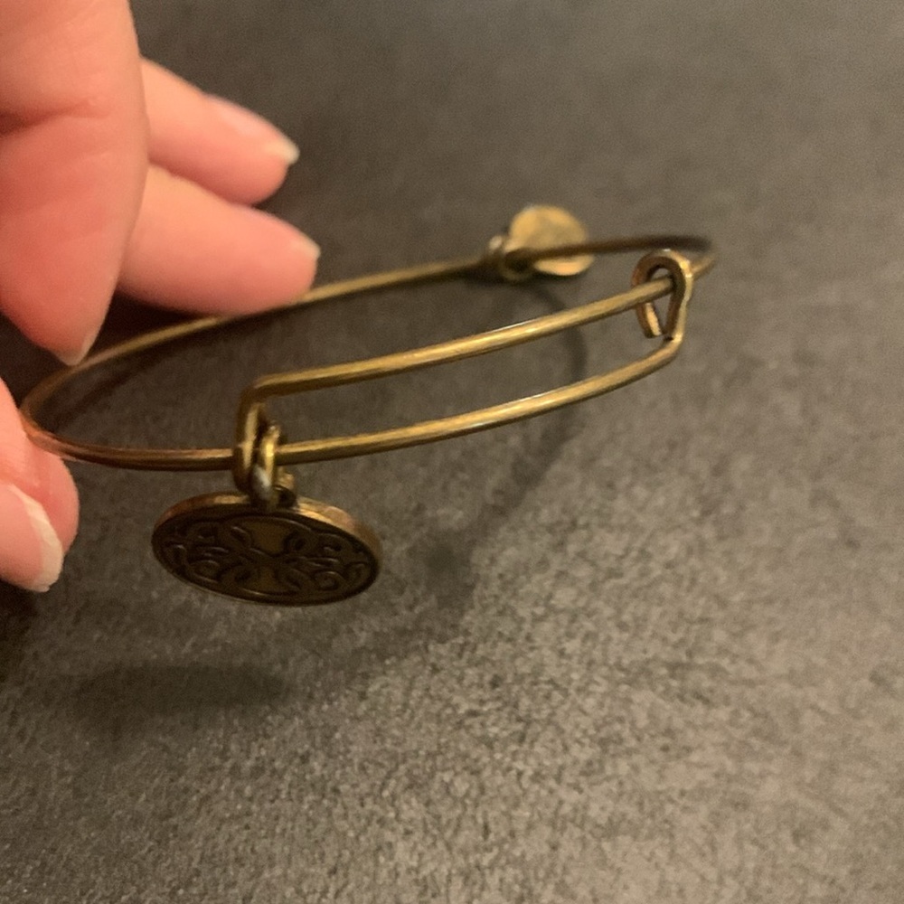 Alex and Ani + Energy Path of Life Infinity Bangle Bracelet - Picture 3 of 5